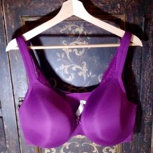 Cacique Lightly Lined Full Coverage Bra Purple 44DD